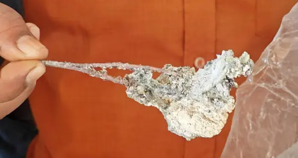 स्वास्थ्य विभाग में हड़कंप