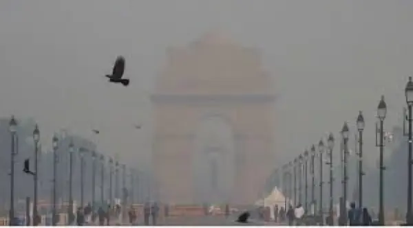 सभी सरकारी–निजी दफ्तरों में 50% वर्क फ्रॉम होम