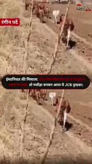 तपती धूप में JCB बनी जीवनदायिनी
