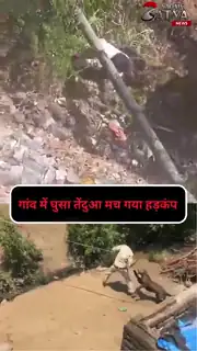 महिला समेत 4 घायल