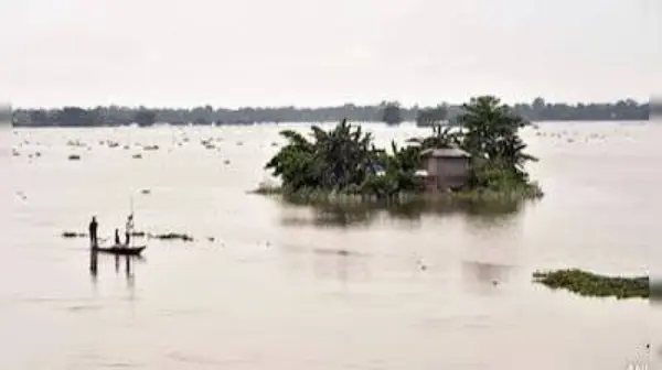 78 मौतें, 3 लाख से ज्यादा प्रभावित