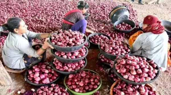 सरकार ने बढ़ाई प्याज सप्लाई