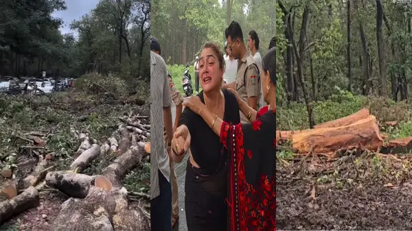 4 हजार पेड़ों की कटाई पर रोक