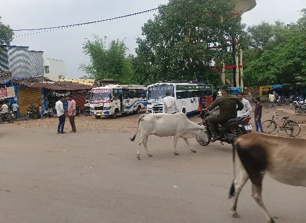 बुढार बस स्टैंड की मांग अधूरी, सड़क पर खड़े वाहन और रात में असामाजिक गतिविधियों