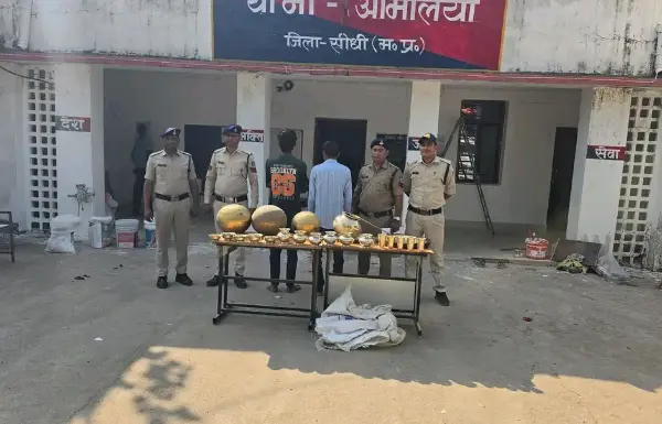 अमिलिया पुलिस ने चोरी के मामले में दो आरोपियों को गिरफ्तार किया।