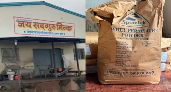 डिटर्जेंट और केमिकल से बन रहा था सिंथेटिक दूध