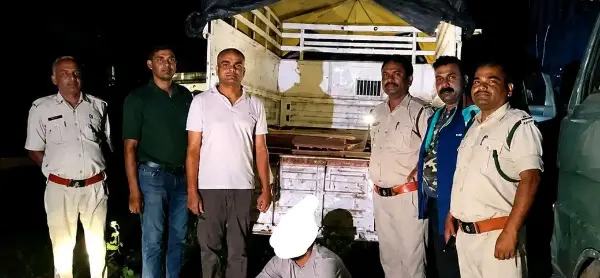 लकड़ी, जब्ती, चालक हिरासत